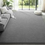 Large Modern Area Rugs for Living Room Bedroom, 6x9 Feet Grey Ultra Soft Solid Thickened Memory Foam Indoor Minimalist Carpets, Non-Slip Comfy Rugs for Boys Girls Nursery Kids Room Home Décor