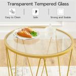 HOOBRO Small Coffee Table Set of 2, Round Coffee End Table with Metal Frame, Glass Top, Gold Side Table for Living Room, Bedroom and Balcony, Modern Style, Gold GD79BZ01