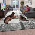 LOCHAS Rug for Living Room 6x9, Washable Soft Area Rugs for Bedroom, Abstract Carpet for Indoor Office Kids Dining Room Nursery Floor, Grey Geometric Vintage Home Decor, Non Slip, Pet Child Friendly