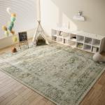Washable Area Rugs for Living Room: 9 x12 Boho Rug Large Living Room Rug Stain Resistant Distressed Vintage Area Rug Non Slip Low Pile Faux Wool Soft Carpet for Bedroom Playroom Farmhouse Dining Room