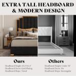 AMERLIFE King Size Upholstered Bed, Modern Velvet Bed Frame with 65.4” Tall Gold Trim Headboard, No Box Spring Needed, Black