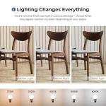 Furniture of America Beck Mid-Century Modern Dining Chairs Set of 2, Solid Wood with Curved Backrest and Angled Legs, Boucle Fabric Padded Seat for Dinner Room, Kitchen, or Living Space, Walnut Brown