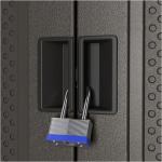 NEW-9 Cubic Ft. Heavy-Duty Resin Cabinet with 2 Shelves, Dark Grey