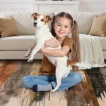 Ciicool Modern Abstract Brown Black Rug for Living Room, 8'x10' Machine Washable Area Rug Non-Slip Rug, Low-Pile Contemporary Indoor Dining Floor Carpet for Bedroom Office Under Table Home Decor