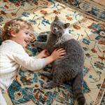 Joydeco 8x10 Area Rugs for Living Room, Non Slip Machine Washable Vintage Rug, Low Pile Chenille Print Rugs for Bedroom, Dining Room, Home Office, Pet & Child Friendly, Beige & Blue & Reddish-Brown