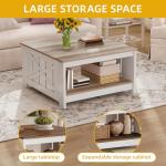 DWVO Square Coffee Table for Living Room, Farmhouse Coffee Table with Storage, 2-Tier Wood Coffee Tables Center Table with Half Open Storage Compartment, Grey Wash