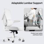 Office Chair - Ergonomic Desk Chair with Adjustable Lumbar Support, Mesh Computer Chair, Executive Chair for Home Office Comfortable Lumbar Support (White White)