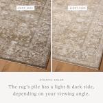 Loloi Magnolia Home by Joanna Gaines Pace Collection PAC-01 Bark/Natural 7'-10" x 10' Area Rug