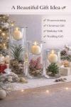 Decorative Glass Candle Holders with Succulents Set