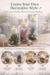 Decorative Glass Candle Holders with Succulents Set