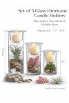 Decorative Glass Candle Holders with Succulents Set