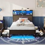 Rolanstar Twin Bed Frame with Storage Headboard, Metal Platform Bed with Charging Station, LED Bed Frame with 4 Drawers, Bookcase Storage, No Box Spring Needed, Easy Assembly, Noise-Free, Black