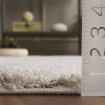 SAFAVIEH Florida Shag Collection Area Rug - 6' x 9', Cream & Beige, Non-Shedding & Easy Care, 1.2-inch Thick Ideal for High Traffic Areas in Living Room, Bedroom (SG471-1113)