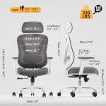 HOLLUDLE Ergonomic Mesh Office Chair - 3D Adjustable Lumbar Support & 3D Armrests, V-Shaped Back, Adjustable Desk Chair for Office & Home, White