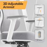 HOLLUDLE Ergonomic Mesh Office Chair - 3D Adjustable Lumbar Support & 3D Armrests, V-Shaped Back, Adjustable Desk Chair for Office & Home, White