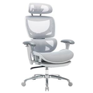 Ergonomic Mesh Office Chair with Adjustable Features