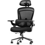 Sweetcrispy Office Chair Ergonomic Desk Chair, 300 LBS Home Mesh Office Desk Chairs with Wheels, 2D Headrest, Up&Down Lumbar Support, Swivel High Back Computer Chair with Flip-up Armrests,Dark Black