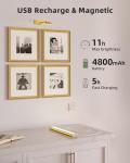EZVALO Picture Light for Wall, 4800mAh Rechargeable Wireless Remote Lights, 16'' Dimmable Magnetic LED Art Painting Light with 3 Color Temps, Display for Gallery, Living Room, Bedroom, Hallway (Gold)