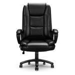 Ergonomic Office Chair with Adjustable Lumbar Support