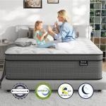 Ruoysun Queen Mattress, 14 Inch Firm Hybrid Queen Size Mattress in a Box, Strong Edge Support, Motion Isolation, with 7-Zones Pocket Springs, Fiberglass-Free, Pressure Relief, CertiPUR-US