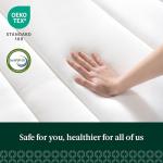ZINUS 10 Inch True Support Hybrid Mattress [New Version], Queen, Fiberglass Free, Medium Feel, Motion Isolation, Certified Safe Foams & Fabric, Mattress in A Box
