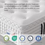 BedStory 14 Inch Medium Firm Queen Mattress, Luxury Hybrid Mattress in a Box for Zoned Pressure and Back Pain Relief, Signature Collection Deep Sleep Mattresses, 10 Years Warranty, 365 Nights Trial