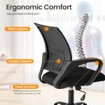 OLIXIS Office Desk Chair - Ergonomic Mid Back with Lumbar Support & Rocking Mode, Height Adjustable with Fixed Armrest, Storage Back for Computer, Gaming, Conference, Meeting, 360° Swivel, Black