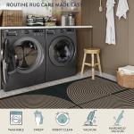 Lahome Modern Rainbow Easy Jute Carpet, Washable 5x7 Area Rugs for Living Room Patio Black Farmhouse Indoor Outdoor Rugs, Contemporary Natural Non Slip Floor Carpet for Office RV Backyard