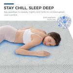 FATHOM Firm Queen Mattress 10 Inch Memory Foam Mattress Queen Size Bed in a Box for Back Pain Relief and Cool Sleep with Gel Foam and Removeable Fiberglass Free Cover, CertiPUR-US Certified