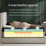 Zinus Lumbar+ Premium Memory Foam Mattress – 14 Inch, King, Lumbar Support, Targeted Pressure Relief, Cooling Gel & Green Tea, Fiberglass Free, Medium Firm, CertiPUR-US & OEKO-TEX Certified