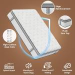 SLEEP100 Queen Mattress 12 Inch, 5-Zone Deep Sleep Firm Mattress with Extra Lumbar & Shoulder Support, Hotel Collection Hybrid Mattresses Pain Relief - Fiberglass Free - No Odor - 365 Night Trial