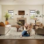 Washable Area Rugs for Living Room: 6x9 Bedroom Area Rugs Boho Vintage Rugs Stain Resistant Non Slip Low Pile Soft Lightweight Carpet for Kitchen Dining Room Farmhouse Nursery Kids Room Home Office