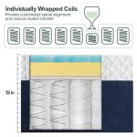 Zinus 12 Inch Queen Cooling Comfort Hybrid Mattress [New Version], Fiberglass Free, Medium Firm Feel, Motion Isolation, Certified Safe Foams & Fabric