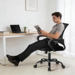 OLIXIS Office Desk Chair - Ergonomic Mid Back with Lumbar Support & Rocking Mode, Height Adjustable with Fixed Armrest, for Home, Computer, Gaming, Conference, Meeting, 360° Swivel, Black, 2 Pack