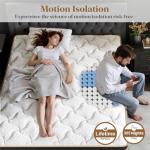 Firm Queen Mattress 14 Inch, Luxury Hotel Cooling Queen Size Hybrid Mattress in a Box, 7-Zones Individual Pocket Spring, Extra Hip/Shoulder/Lumbar Support, Fiberglass-Free, 365-Night Trial,CertiPUR-US