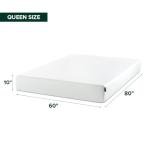 Zinus 10 Inch Queen Green Tea Memory Foam Mattress [New Version], Fiberglass Free, Medium Firm Feel, Zoned Pressure Relief, Certified Safe Foams & Fabric, Mattress in A Box