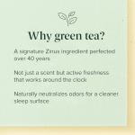 Zinus 10 Inch Queen Green Tea Memory Foam Mattress [New Version], Fiberglass Free, Medium Firm Feel, Zoned Pressure Relief, Certified Safe Foams & Fabric, Mattress in A Box