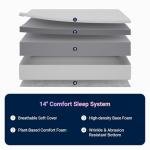 Avenco Queen Mattress 14 Inch, Queen Size Mattresses Medium Firm for Back Pressure Relief, Mattress in a Box CertiPUR-US Certified Foam Colchones