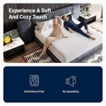 Avenco Queen Mattress 14 Inch, Queen Size Mattresses Medium Firm for Back Pressure Relief, Mattress in a Box CertiPUR-US Certified Foam Colchones