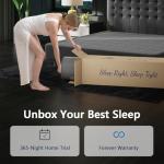 Queen Size Mattresses, 14 Inch Luxury Hybrid Queen Mattress in a Box, Gel Memory Foam Mattress with Pocket Springs, Pressure Relief, Cooling Sleep, Extra Edge Support, Fiberglass-Free, CertiPUR-US