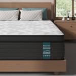 Sleepmax Extra Firm Queen Mattress 12 Inch - Deep Sleep Hybrid Mattress Pressure Relief - Deluxe Cooling Bed in Box for Back & Side Sleepers - CertiPUR-US Certified, 365-Night Trial, Forever Warranty