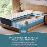 Sleepmax Extra Firm Queen Mattress 12 Inch - Deluxe Deep Sleep Hybrid Mattress Pain Relief - Cooling Bed in Box for Back & Side Sleepers - CertiPUR-US Certified, 365-Night Trial, Forever Warranty