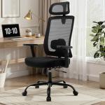 Meilocar Ergonomic Office Chair Mesh High Back, Office Desk Chair with Adjustable Lumbar Support, Rolling Work Chairs with Wheels and 3D Headrest, Black