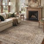 HUGEAR Area Rug 8x10 Vintage Brown Machine Washable Living Room Rugs Distressed Retro Floral Vacuumable Low Pile Carpet Bedroom Office Dining Room Laundry Room Non Slip Soft Lightweight