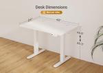 Seang Electric Standing Desk Adjustable Height, 40 x 24 Inch Sit Stand Desk with T-Shaped Frame, 3 Memory Presets & Cable Management for Home Office Computer Workstation, White Frame/White Top