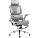 Ergonomic Mesh Office Chair with Footrest, High Back Desk Chair with 4D Armrests, 3-Zone Dynamic Lumbar Support, Ergonomic Office Chair with Wheels (Silver Gray)