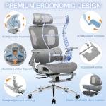 Ergonomic Mesh Office Chair with Footrest, High Back Desk Chair with 4D Armrests, 3-Zone Dynamic Lumbar Support, Ergonomic Office Chair with Wheels (Silver Gray)