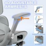 Ergonomic Mesh Office Chair with Footrest, High Back Desk Chair with 4D Armrests, 3-Zone Dynamic Lumbar Support, Ergonomic Office Chair with Wheels (Silver Gray)