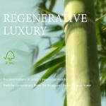 Yechen Queen Size Bed Frame, Japanese Joinery Bed Frame, Bamboo Wood Platform Bed with Noise Free Wood Slats and Metal Support, Easy Assembly, No Box Spring Needed, Morden, Natural