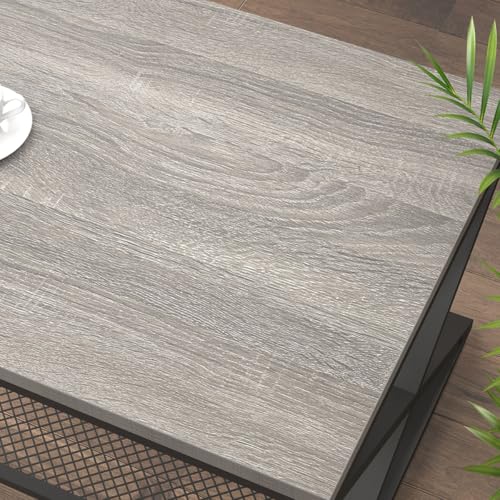 Gray Farmhouse 2-Tier Coffee Table with Storage